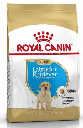 chiot-labrador-royal-canin CHIOT LABRADOR ROYAL CANIN – Image 1
