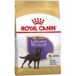 ROYAL CANIN LABRADOR STÉRILISÉ 12 KG