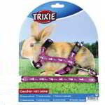 LAISSE ET HARNAIS À MOTIFS DE LAPIN