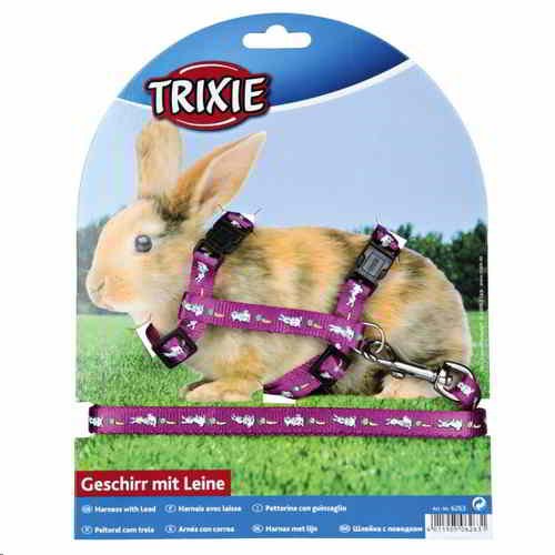 laisse-et-harnais-à-motifs-de-lapin LAISSE ET HARNAIS À MOTIFS DE LAPIN – Image 1