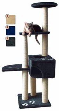 grimpeur-d'alicante GRIMPEUR D'ALICANTE – Image 1