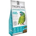 PERROQUETS TROPICAUX