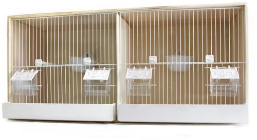 pépinière-double-peuplier CAGE DOUBLE PEUPLIER – Image 1