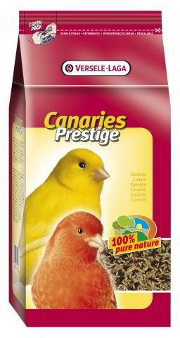 VL CANARIES