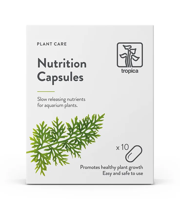 tropica-nutrition-capsules-10-cps TROPICA NUTRITION CAPSULES 10 CPS – Image 1